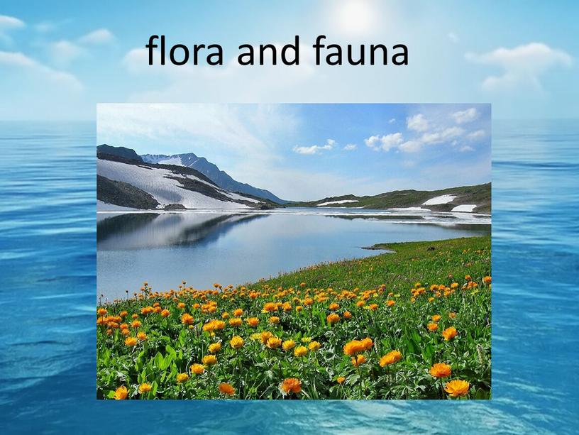 flora and fauna