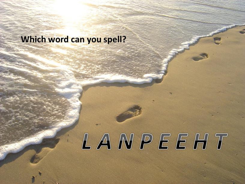 L A N P E E H T Which word can you spell?