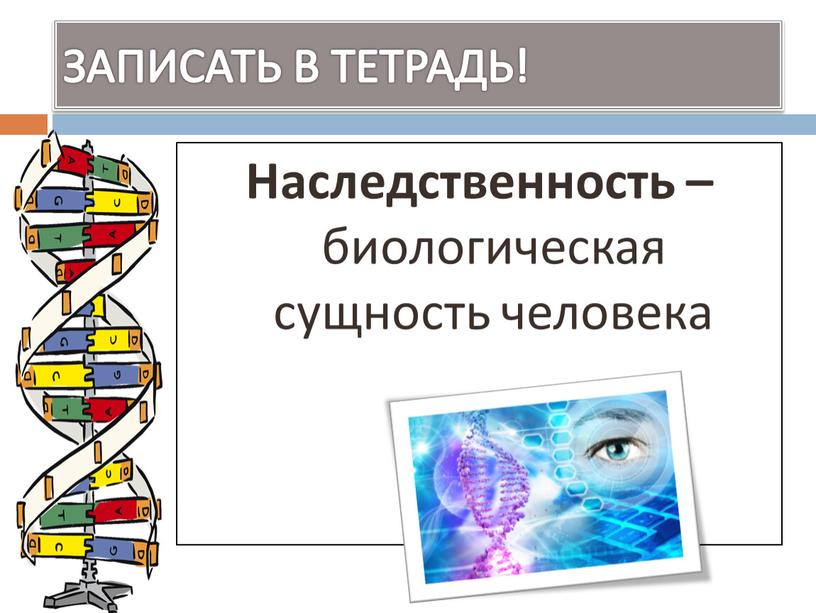 ЗАПИСАТЬ В ТЕТРАДЬ! Наследственность – биологическая сущность человека