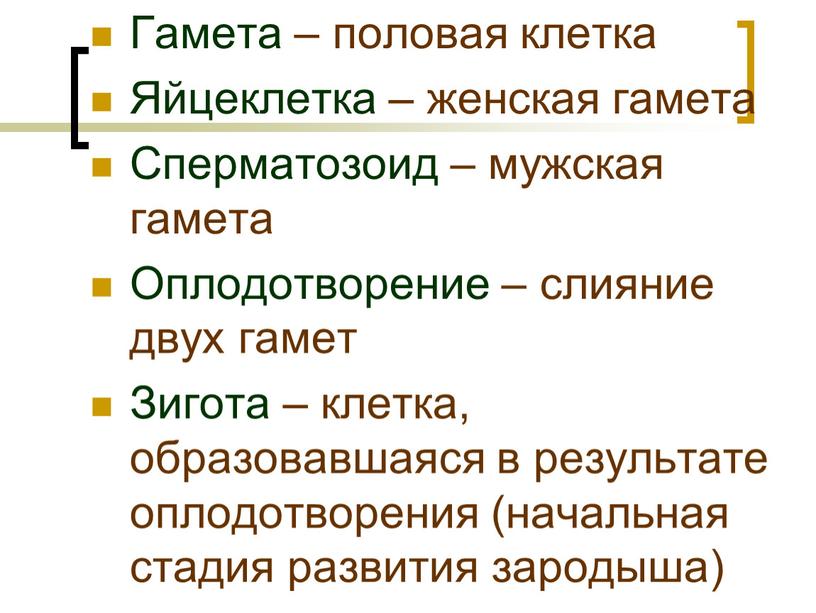 Гамета – половая клетка Яйцеклетка – женская гамета