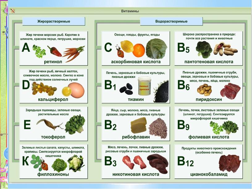 Презентация на тему:"Где искать витамины"