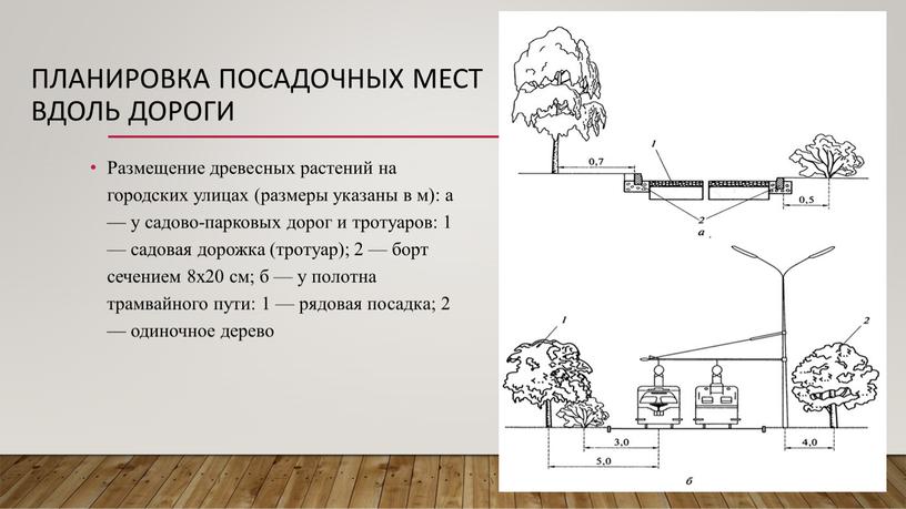 Планировка посадочных мест вдоль дороги