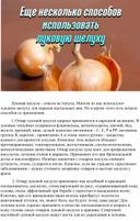 Обложка для материала Луковая шелуха - совсем не чепуха.