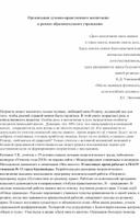 Организация духовно-нравственного воспитания в рамках образовательного учреждения