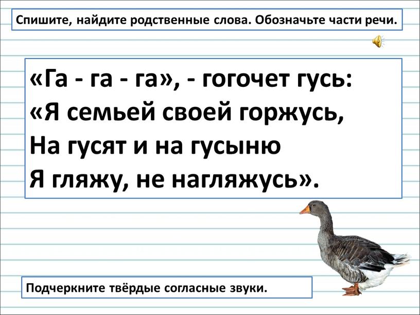 Га - га - га», - гогочет гусь: «Я семьей своей горжусь,