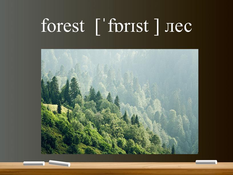 forest [ˈfɒrɪst ] лес