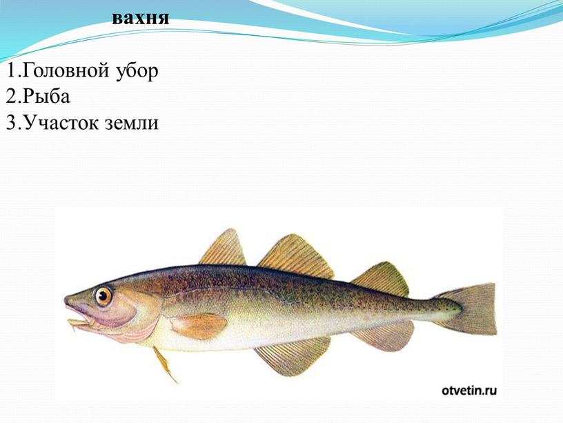 Головной убор 2.Рыба 3.Участок земли