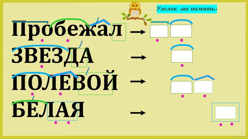 Пробежал ЗВЕЗДА ПОЛЕВОЙ БЕЛАЯ