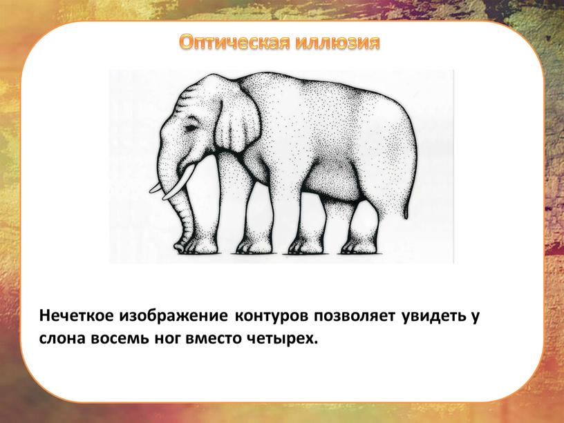 Оптическая иллюзия Нечеткое изображение контуров позволяет увидеть у слона восемь ног вместо четырех