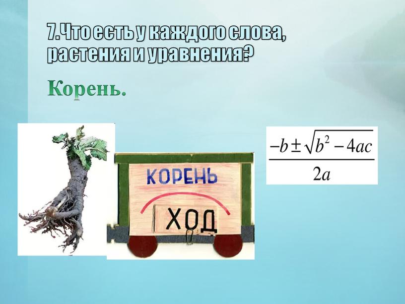 Что есть у каждого слова, растения и уравнения?