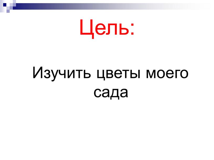 Цель: Изучить цветы моего сада