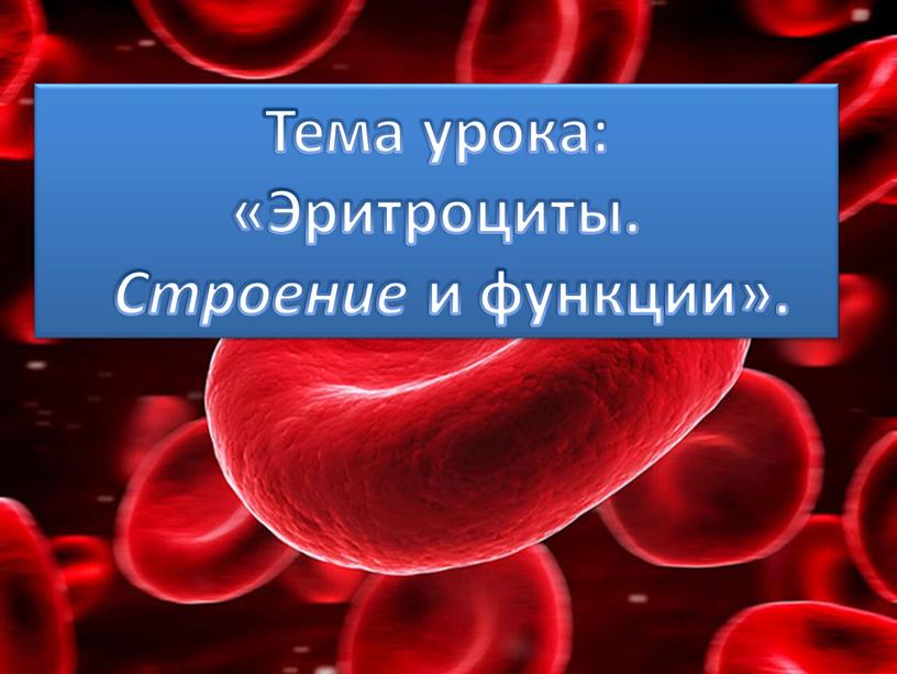 Тема урока: «Эритроциты. Строение и функции»