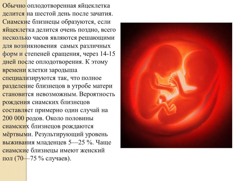 Обычно оплодотворенная яйцеклетка делится на шестой день после зачатия