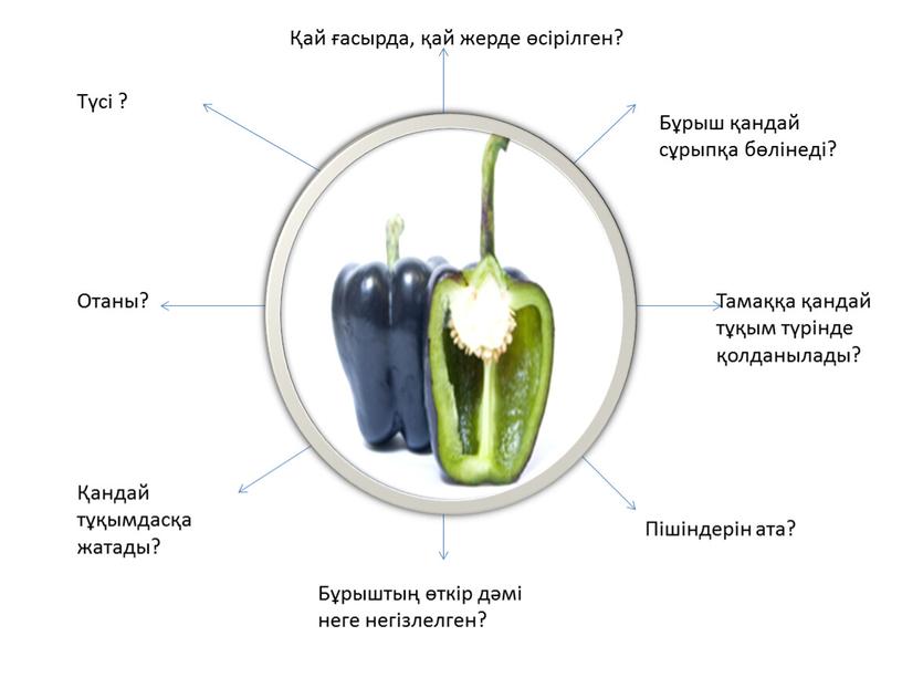 Бұрыш қандай сұрыпқа бөлінеді?