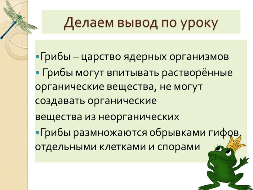 Делаем вывод по уроку Грибы – царство ядерных организмов