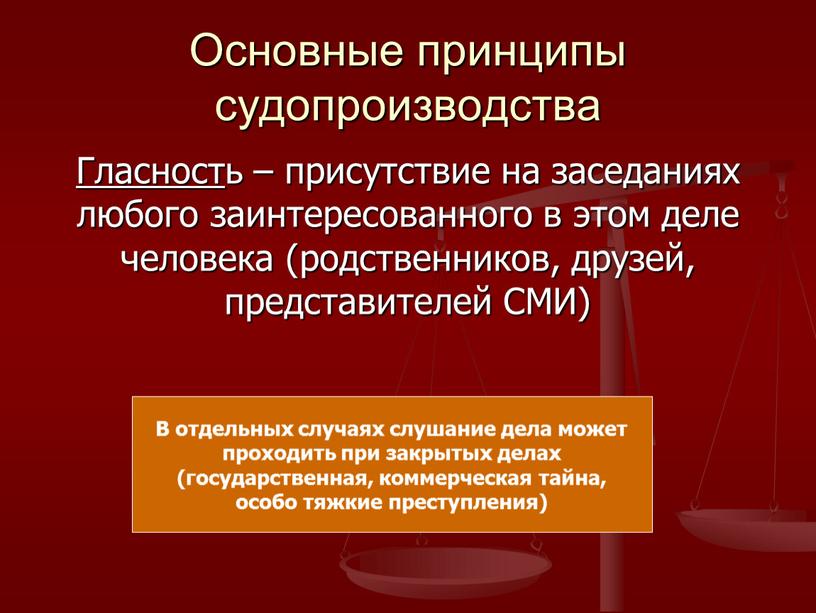 Основные принципы судопроизводства