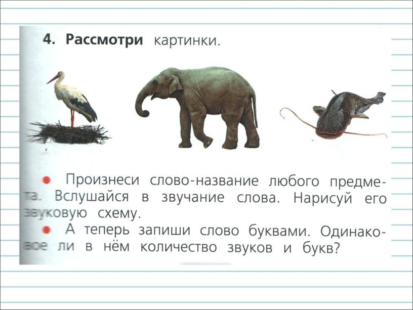 Презентация к уроку русского языка по теме "Звуки и буквы" - 1 класс