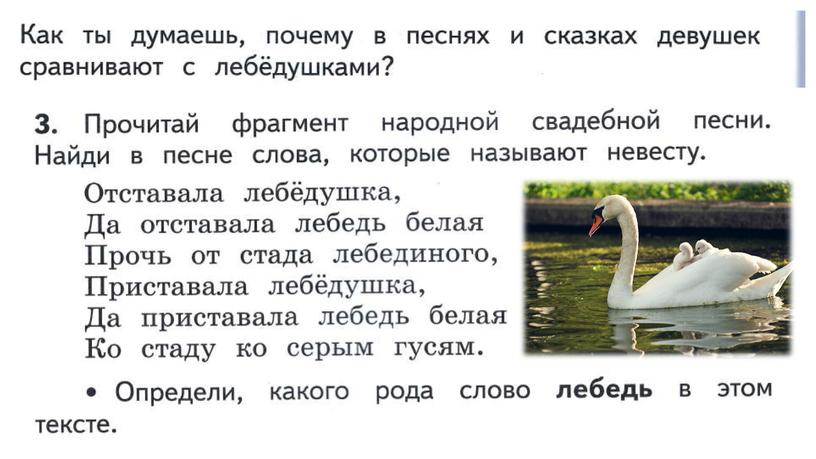 У земли ясно солнце, у человека - слово Презентация к уроку "Родной русский язык" 3 класс