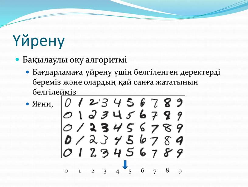 Бақылаулы оқу алгоритмі Бағдарламаға үйрену үшін белгіленген деректерді береміз және олардың қай санға жататынын белгілейміз