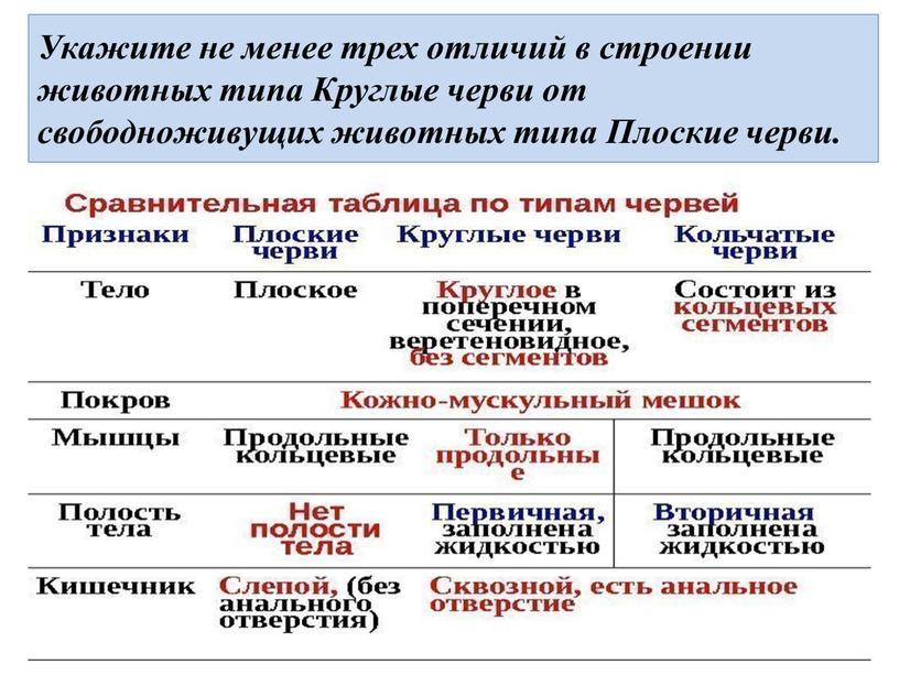 Укажите не менее трех отличий в строении животных типа