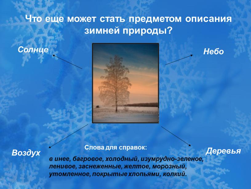 Что еще может стать предметом описания зимней природы?