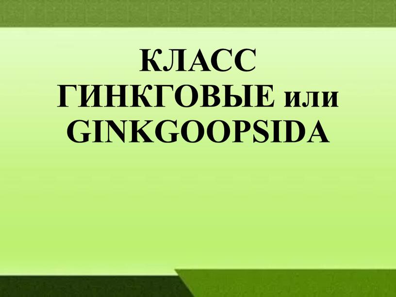 КЛАСС ГИНКГОВЫЕ или GINKGOOPSIDA