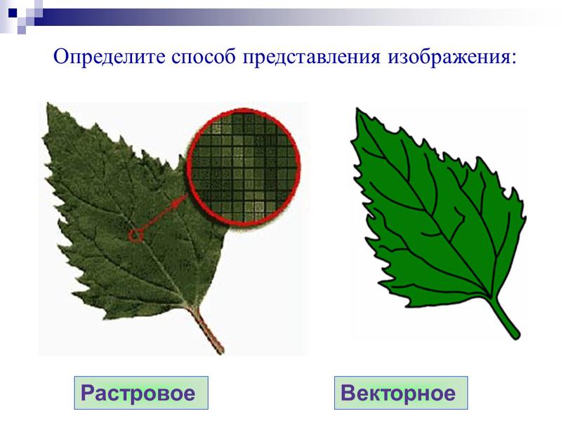 Растровое Векторное Определите способ представления изображения: