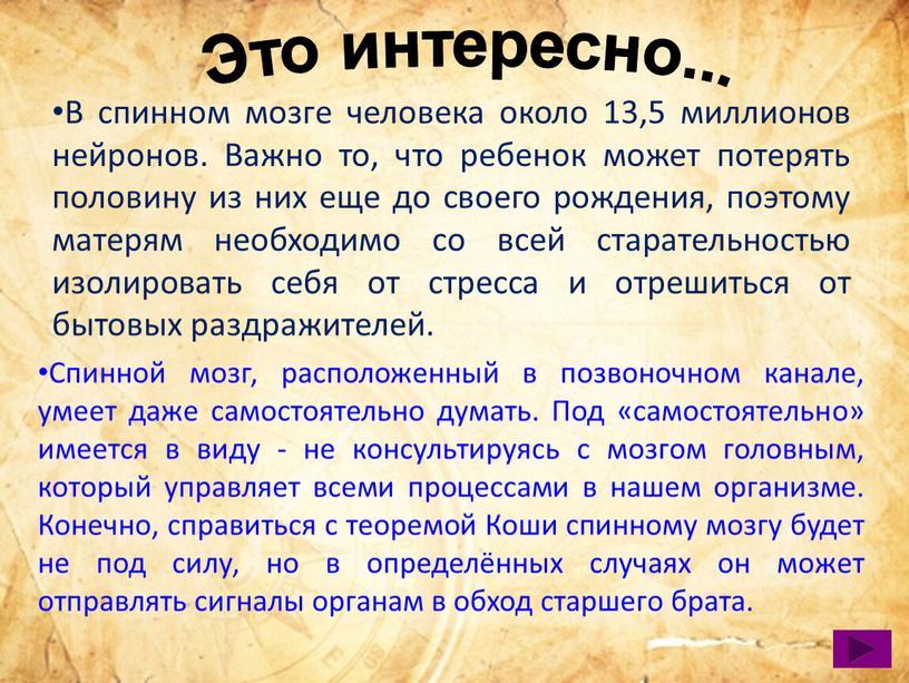 Это интересно... В спинном мозге человека около 13,5 миллионов нейронов