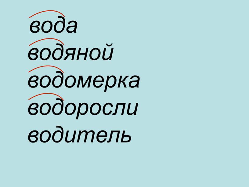 вода водяной водомерка водоросли водитель