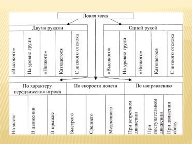 «Совершенствование  техники ловли и передач мяча  в движении в баскетболе, в парах  и группе»