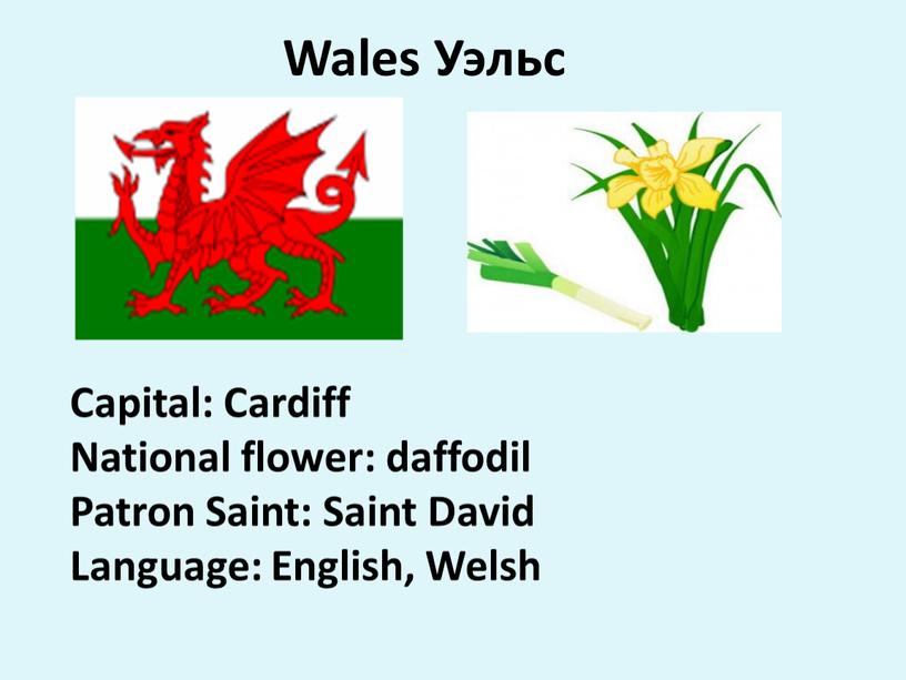 Capital: Cardiff National flower: daffodil