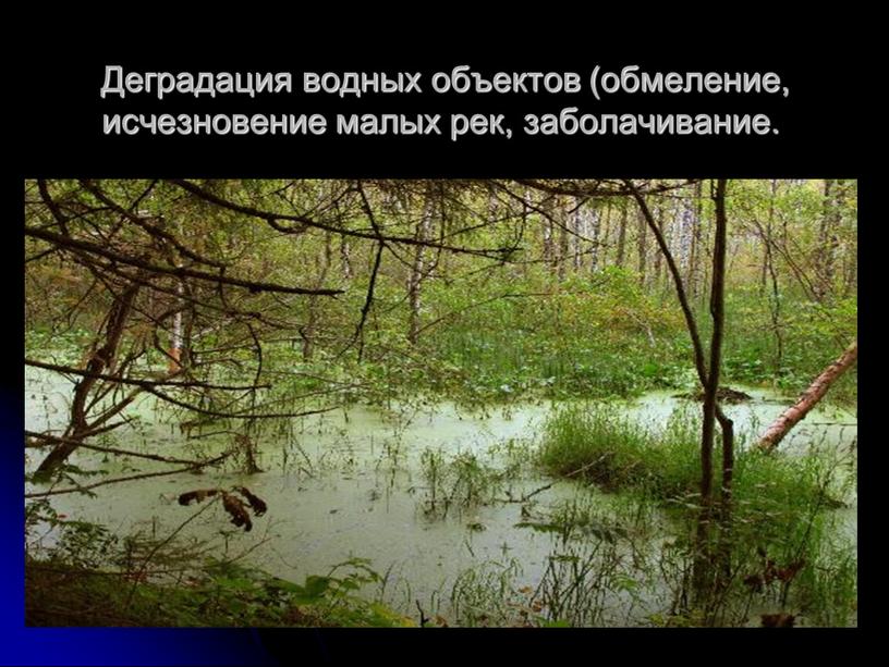 Деградация водных объектов (обмеление, исчезновение малых рек, заболачивание