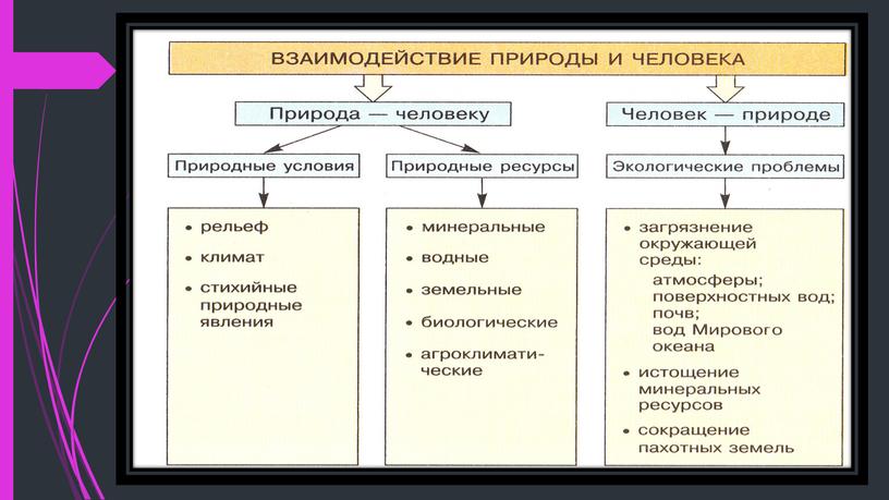 Что такое общество. Связь общества и природы