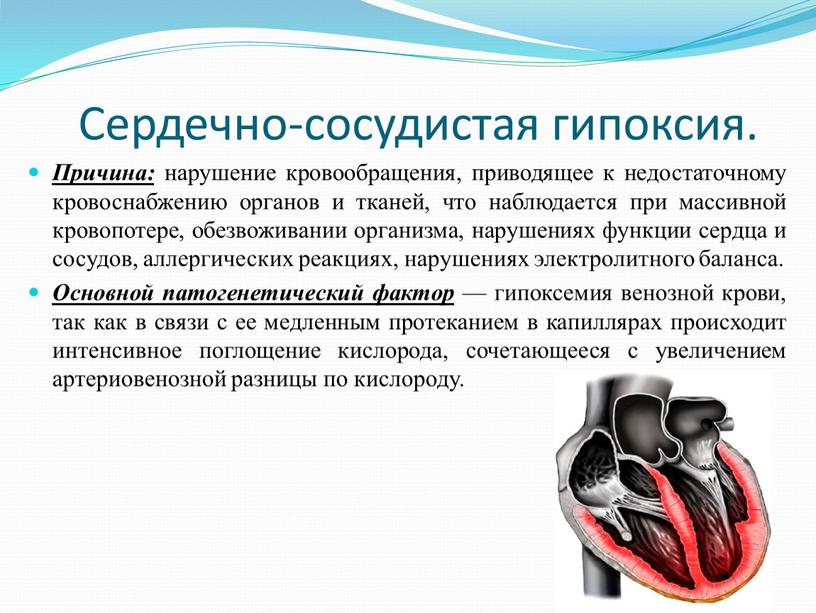 Сердечно-сосудистая гипоксия. Причина: нарушение кровообращения, приводящее к недостаточному кровоснабжению органов и тканей, что наблюдается при массивной кровопотере, обезвоживании организма, нарушениях функции сердца и сосудов, аллергических…