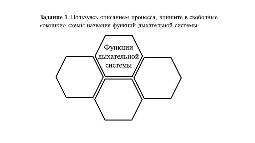 Задание 1 . Пользуясь описанием процесса, впишите в свободные «окошки» схемы названия функций дыхательной системы