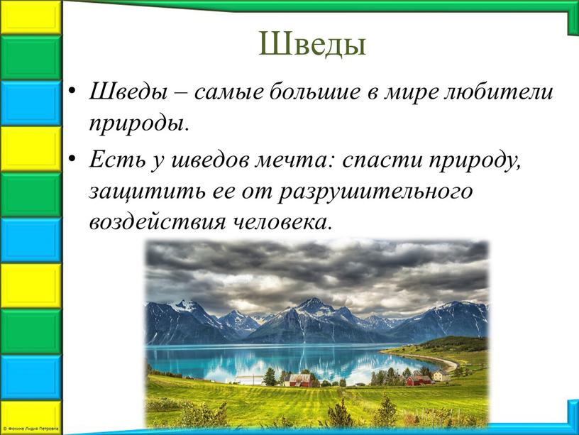 Шведы Шведы – самые большие в мире любители природы