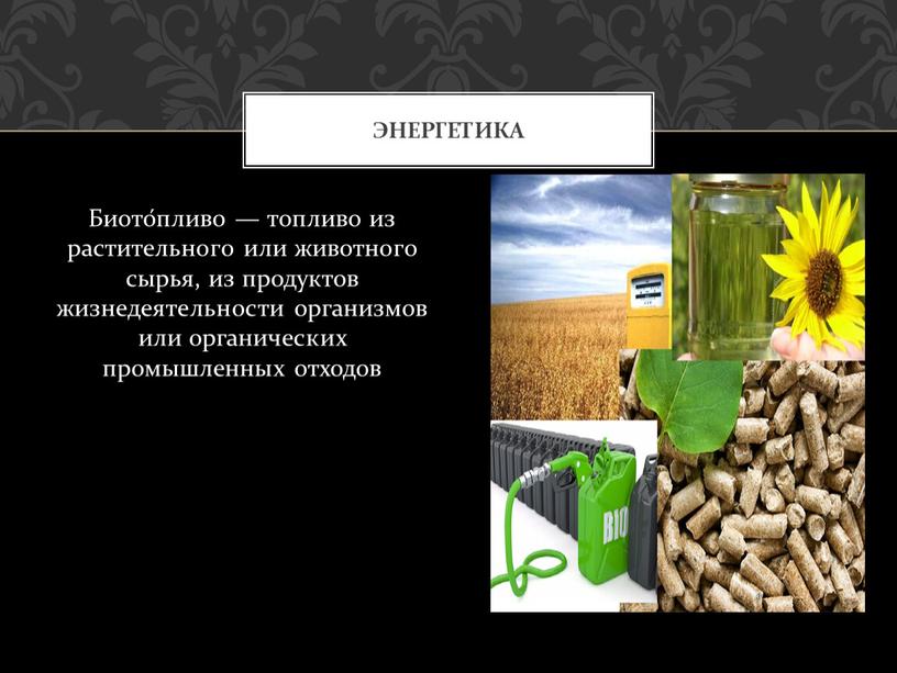 Биото́пливо — топливо из растительного или животного сырья, из продуктов жизнедеятельности организмов или органических промышленных отходов