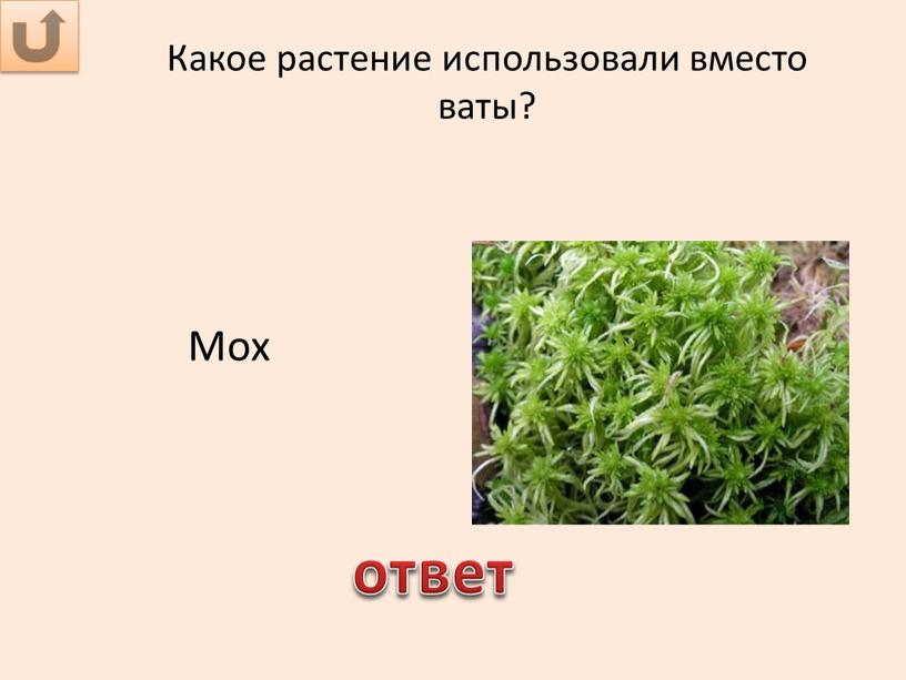 Какое растение использовали вместо ваты?