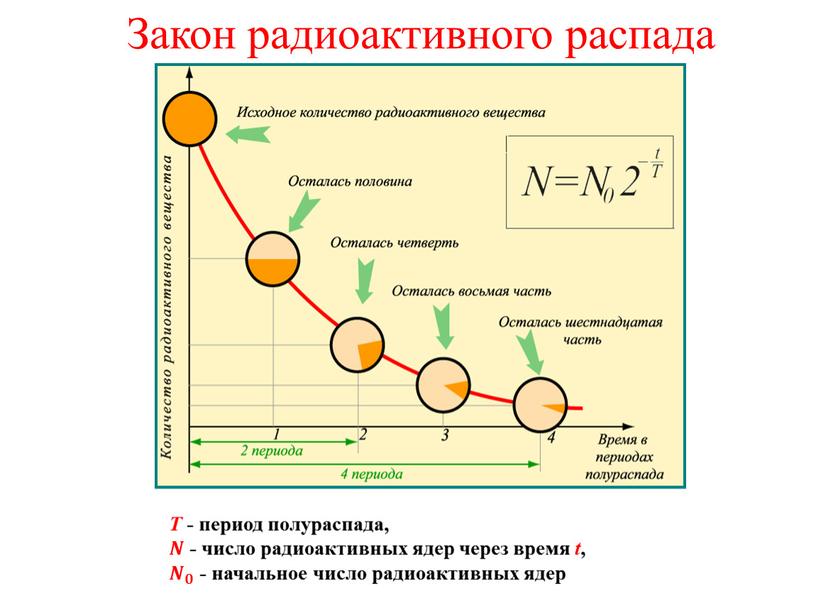 На рисунке даны графики зависимости числа радиоактивных атомов от времени для изотопов 2 веществ