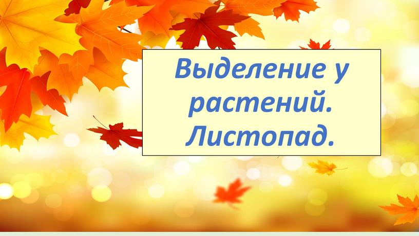 Выделение у растений. Листопад