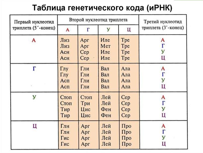 Разбор демо-версии ЕГЭ по биологии