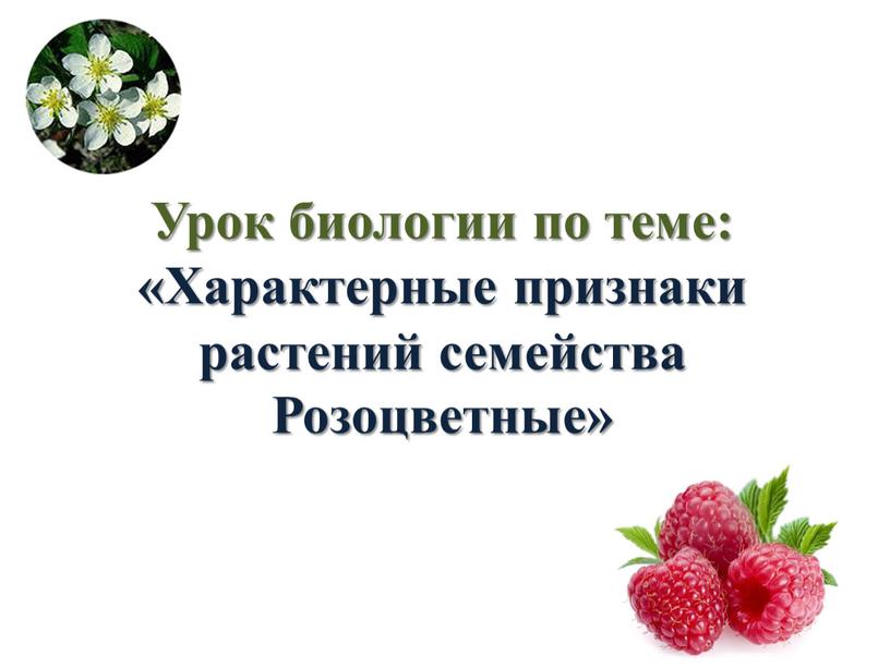 Урок биологии по теме: «Характерные признаки растений семейства