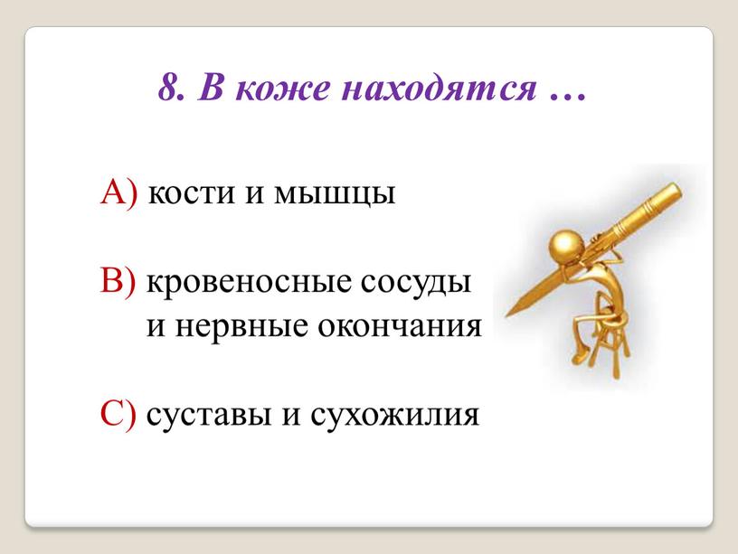 В коже находятся … А) кости и мышцы