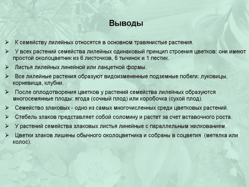 Презентация по биологии на тему "Семейства Лилейные и Злаковые"