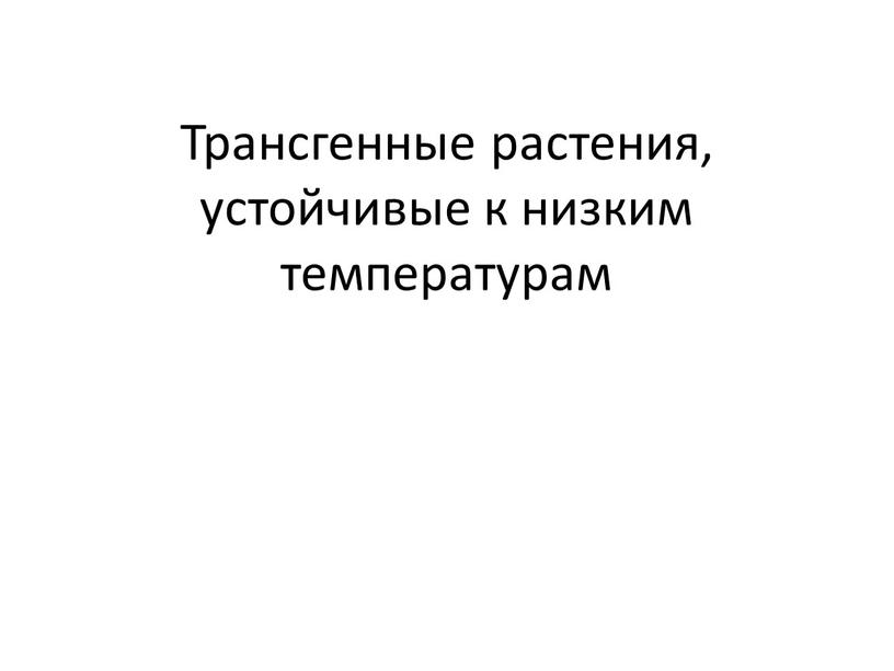 Трансгенные растения, устойчивые к низким температурам