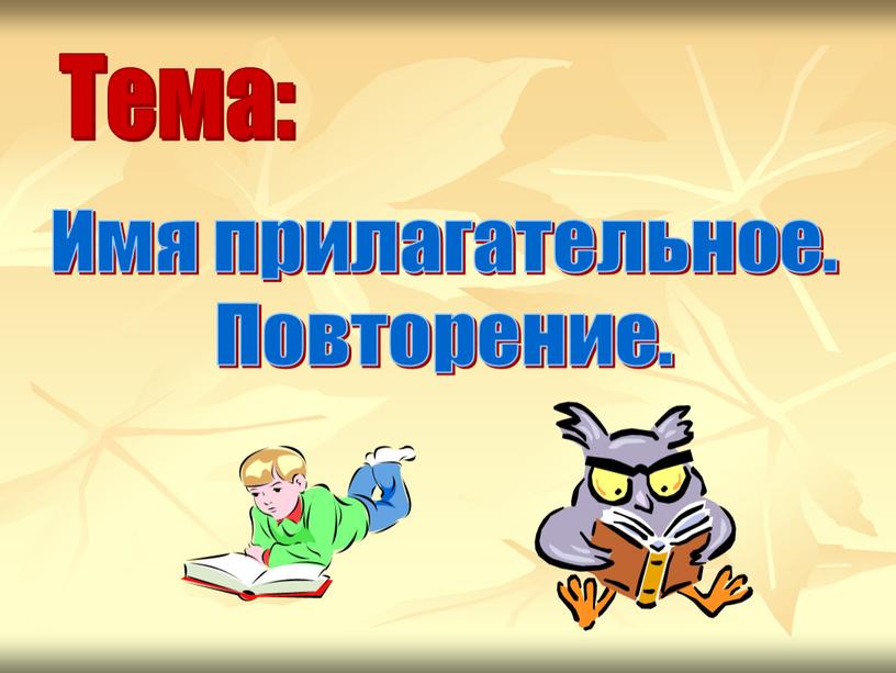 Имя прилагательное. Повторение