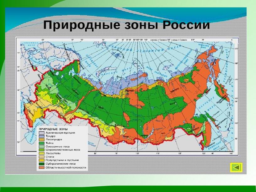 Презентация к уроку окружающего мира "Край родной дальневосточный"