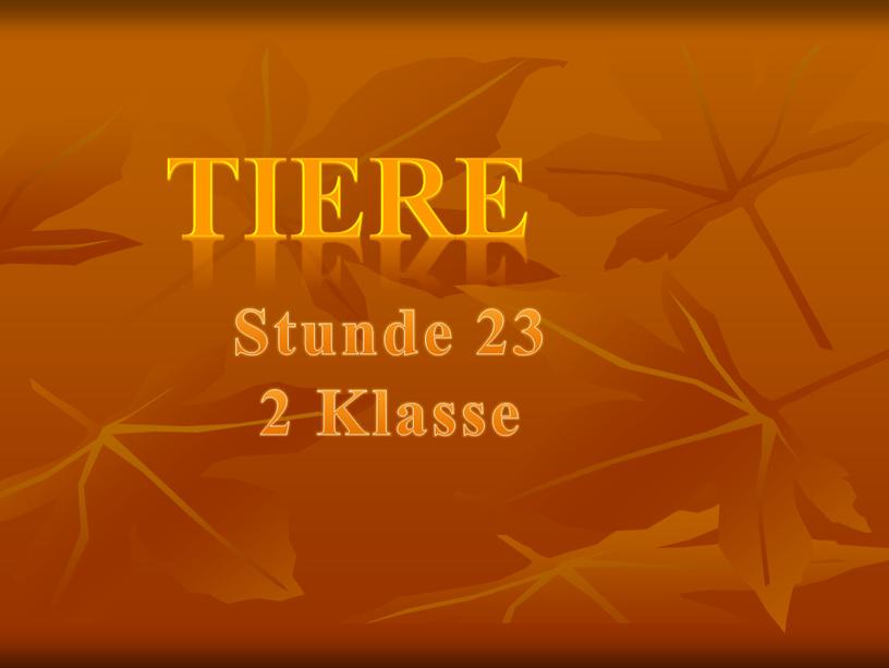 TIERE Stunde 23 2 Klasse