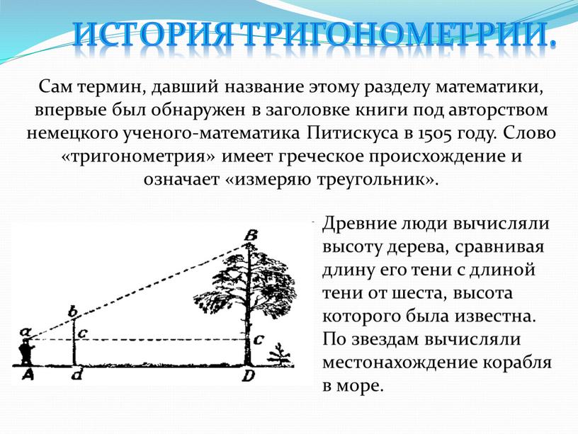 Древние люди вычисляли высоту дерева, сравнивая длину его тени с длиной тени от шеста, высота которого была известна