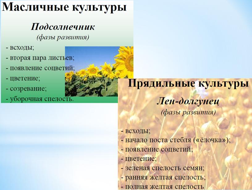 Условия прорастания семян растений, 6 класс, биология